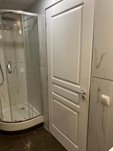 a bathroom with a shower and a white door at Casa Avram in Suceviţa