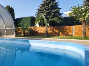 ein blauer Pool mit Palmen und einem Zaun in der Unterkunft Villa Nova in Hévíz