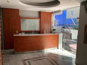 Dapur atau dapur kecil di Piraeus Acropole Hotel