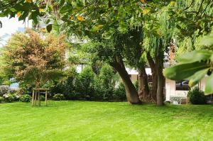 een groene tuin met een boom en een houten standaard bij Le Petit Apartamentos in Santander