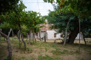 A garden outside El Cerco del Trigo