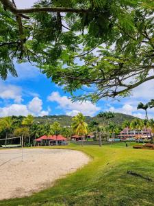 un parc avec des palmiers et des bâtiments en arrière-plan dans l'établissement Appartement Madinina 6 personnes vue sur mer dans village vacances, à Sainte-Luce