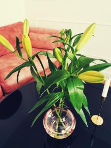 een plant in een glazen vaas op een tafel bij Boutique Apartment Lola in Fažana