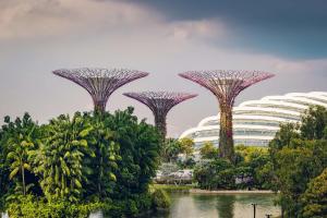 um grupo de árvores e edifícios num parque em Conrad Centennial Singapore em Singapura