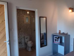 a bathroom with a toilet and a mirror at Tolis Rooms in Himare