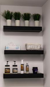 a shelf with plants and bottles on it at BELIA A.T. in Cáceres