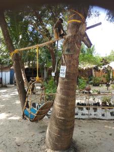 Un uomo seduto su un'altalena su un albero di Ruban Yoga a Palolem