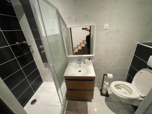 La salle de bains est pourvue d'un lavabo, de toilettes et d'un miroir. dans l'établissement ZEN & SPA, à Givet