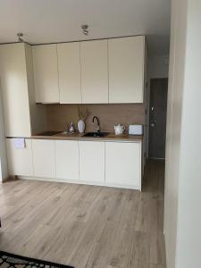 E&K apartamentai su šildomu baseinu kieme 주방 또는 간이 주방