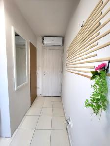 un pasillo con una planta en la pared en Guesthouse Ožegović, en Belgrado