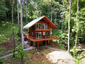 ボカス・タウンにあるGaia Nature Lodges at Bluff Beachの森の中の家