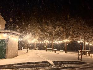 un parco coperto di neve di notte con luci di Villa美瑛・やさしい窓 a Biei