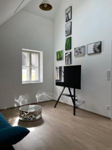 Un televizor și/sau centru de divertisment la Haus Fünf mit 2 Apartments und Studio-Loft mit Terrasse