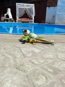 zwei ausgestopfte Tiere auf dem Boden neben einem Pool in der Unterkunft Storchennest in Neuried