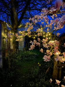 a garden with lights under a tree at night at The Wayside Shepherd Hut in Beaulieu