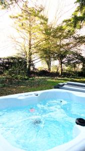 Bazen u ili blizu objekta Lugh 9 - Hot Tub-Perth-Pets-Luxury-Hunting Tower