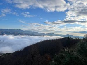 家庭旅館附近的自然景觀