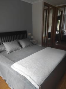 Una cama o camas en una habitación de Pedaporta