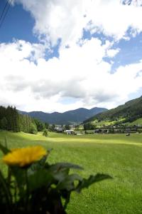 un champ vert avec une fleur jaune au premier plan dans l'établissement Ferienhaus Asterbach, à Gosau