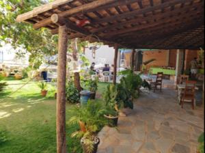 eine Terrasse mit Topfpflanzen unter einer hölzernen Pergola in der Unterkunft Estalagem do Carmo in Pirenópolis