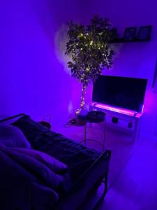 Cette chambre violette dispose d'une télévision et d'une plante. dans l'établissement Studio cozy Saint-Malo, à Saint-Malo