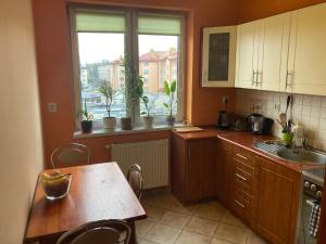 Una cocina o cocineta en Apartament nad rzeką na Mazurach