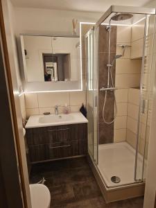 y baño con ducha, lavabo y espejo. en Ferienwohnung im Dachgeschoss mit Aufzug, en Rostock