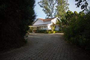 una casa blanca con una entrada delante de ella en Marlihill Bungalow - a CGH Earth SAHA Experience, en Ooty