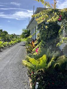 Taman di luar Avaiki Nui Villa