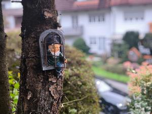 une photo d'un homme dans une boîte sur un arbre dans l'établissement Ferienhaus The Himmelsteig, à Sasbachwalden