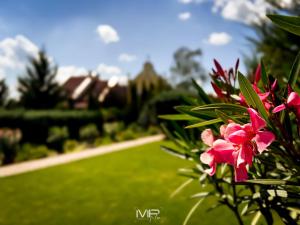 A garden outside Hotel Szent István