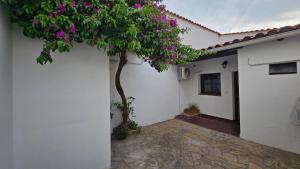 a tree in the courtyard of a white building with purple flowers at La Merced in Salta