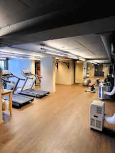 Centrul de fitness și/sau facilități de fitness de la Hotelwohnung Superior-Suite