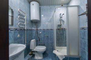 a bathroom with a shower and a toilet and a sink at Алексік in Truskavets