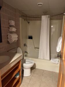 Un baño de Slopeside Hotel by Seven Springs Resort