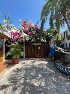 uma casa com flores cor-de-rosa numa cerca em Posada Amaripucci em San Andrés