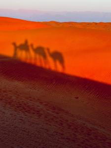 una sombra de un grupo de personas montando camellos en el desierto en Alsarmadi Desert Camp, en Shāhiq