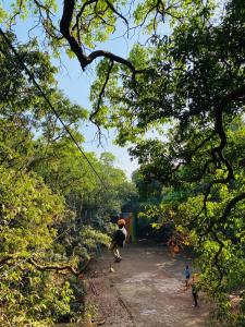 Tetamu yang menginap di The Byke Brightland Adventure Park & Resort