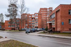 een stadsstraat met auto's geparkeerd voor bakstenen gebouwen bij Holiday Ap in Visaginas