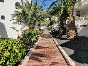 A garden outside Apartamento con piscina a 500m de la playa