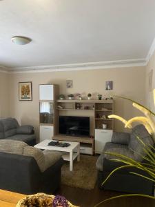 een woonkamer met 2 banken en een open haard bij Apartment T&M Zagreb Airport in Velika Gorica