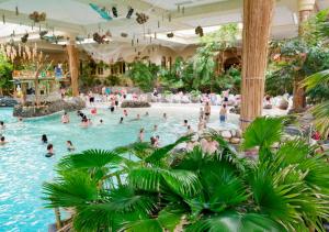 een groep mensen in een zwembad in een resort bij Greenhouse Living Apartment Fagus mit Terrasse und Feuerstelle - 7 Minuten nach Winterberg - 4 Minuten zur Ruhrquelle in Medebach