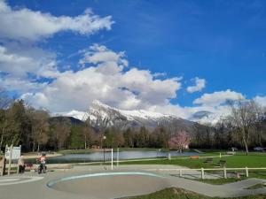 莫里永Charmant Duplex, vue magnifique的一座冰雪公园,其背景是一座雪覆盖的山