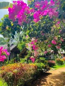 Ein paar rosa Blumen im Garten in der Unterkunft Tamarin Lodge in Ampangorinana