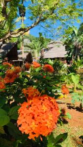 einen Garten mit Orangenblüten vor einem Haus in der Unterkunft Tamarin Lodge in Ampangorinana