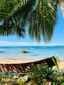 Blick auf den Strand unter einer Palme in der Unterkunft Tamarin Lodge in Ampangorinana