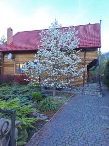 uma árvore com flores brancas em frente a uma casa em Magnolia em Tatariv