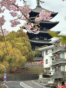 una pagoda in lontananza con alberi pinkakura di fronte a un edificio di Ryokan Kousen Kazeya Group a Nara