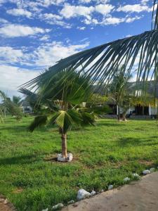 Taman di luar Sagwe Riviera Diani, Kenya