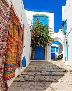 シディ・ブ・サイドにあるCOSY Apartment in Sidi Bou Said Villageの青い扉のある狭い路地